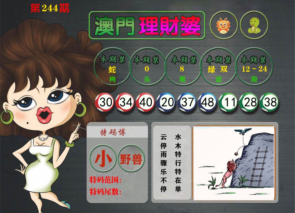 理财婆 第244期