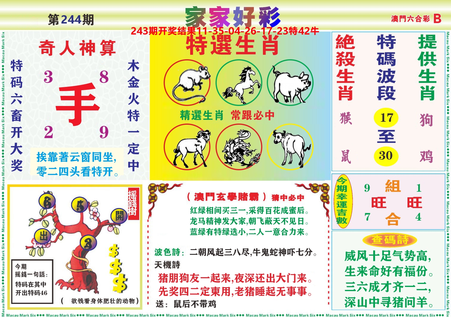 家家好彩B 第244期