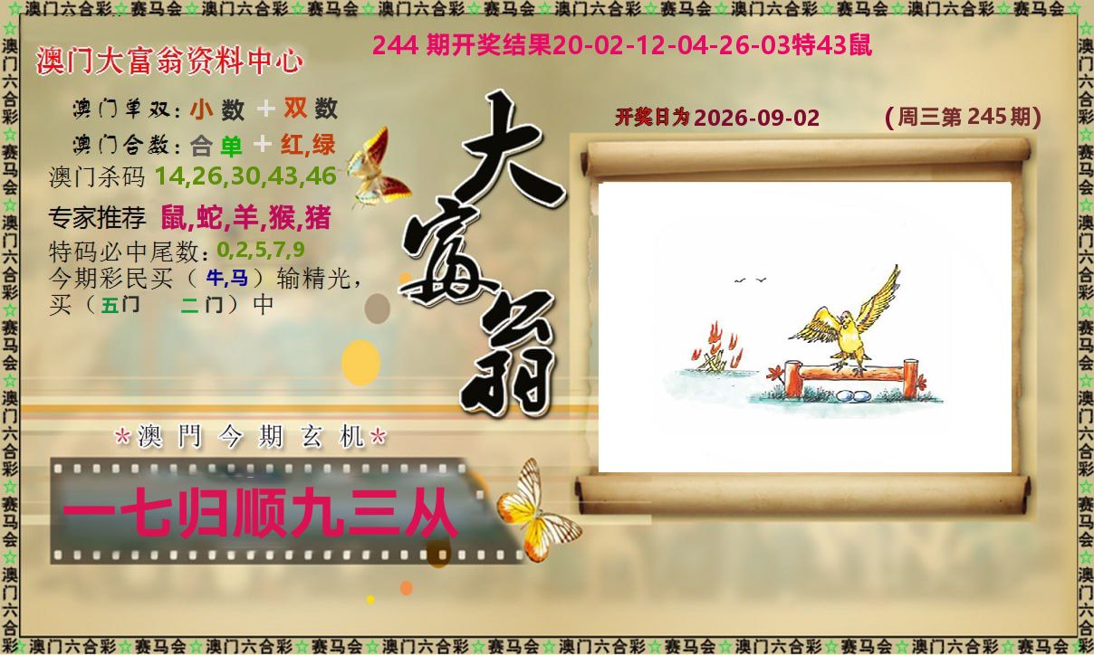 新大富翁 第245期