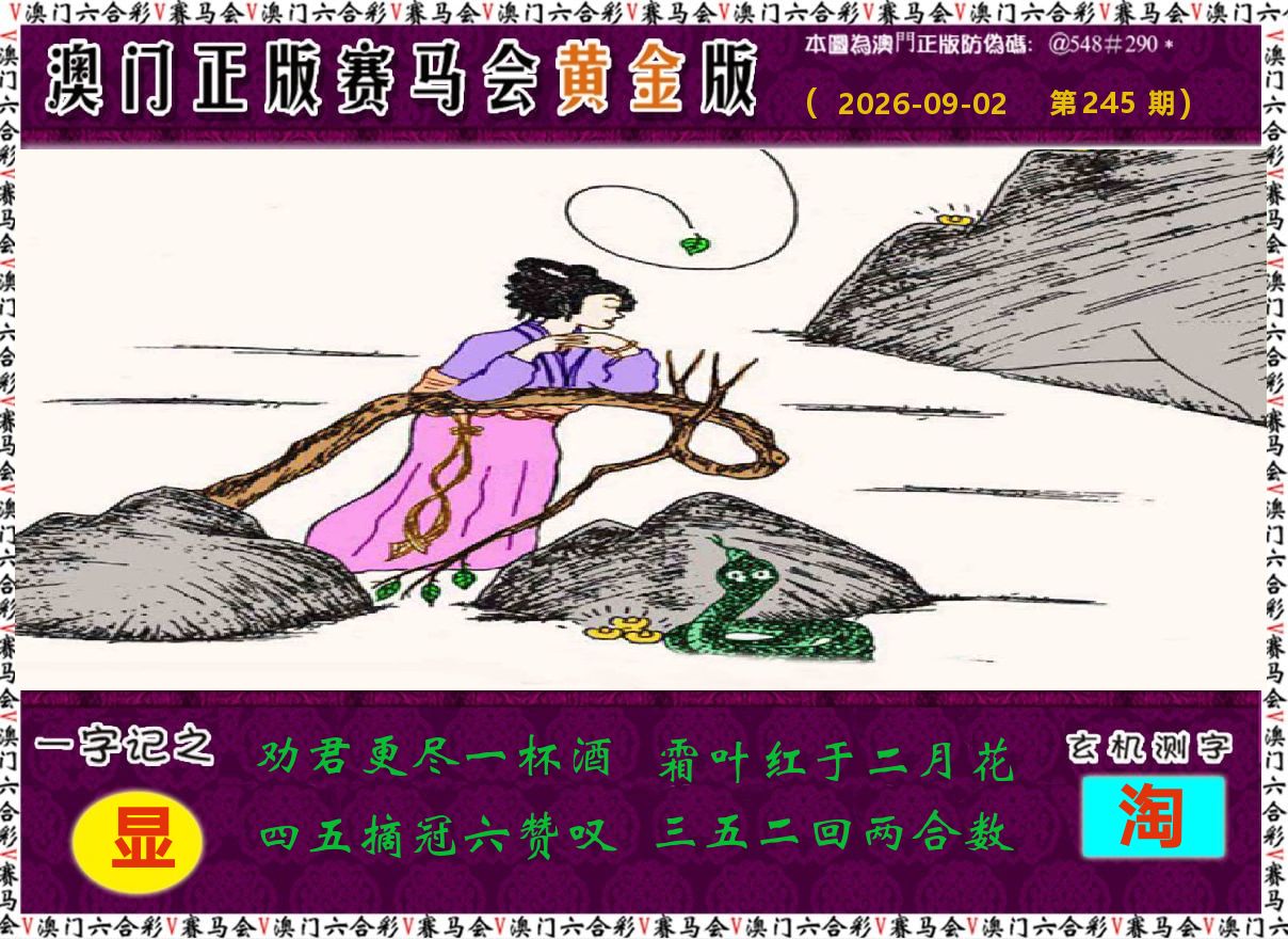 赛马会黄金版 第245期