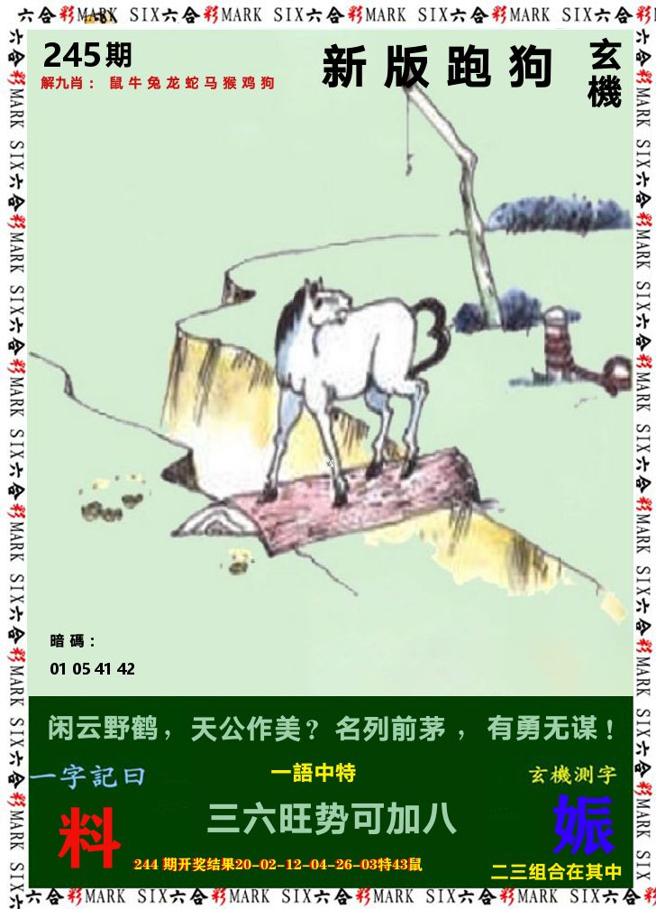 悟入其图 第245期