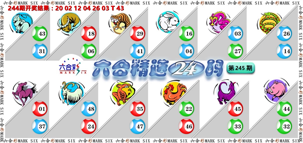六合精选24码 第245期