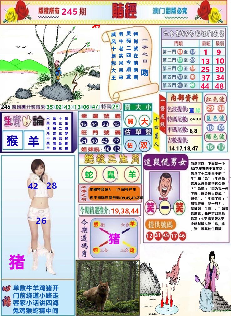 澳门赌经 第245期