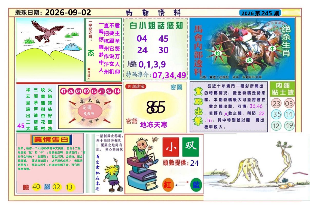 澳门内部透料A 第245期