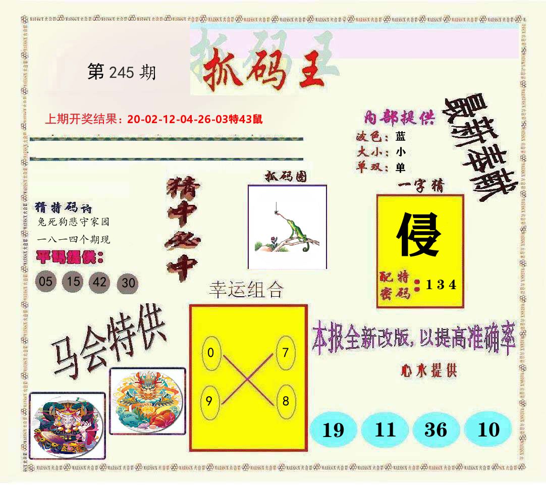 抓码王 第245期