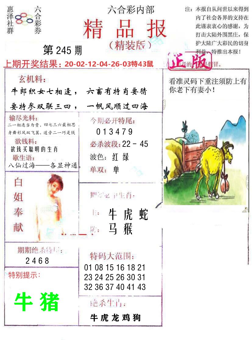 精品报 第245期