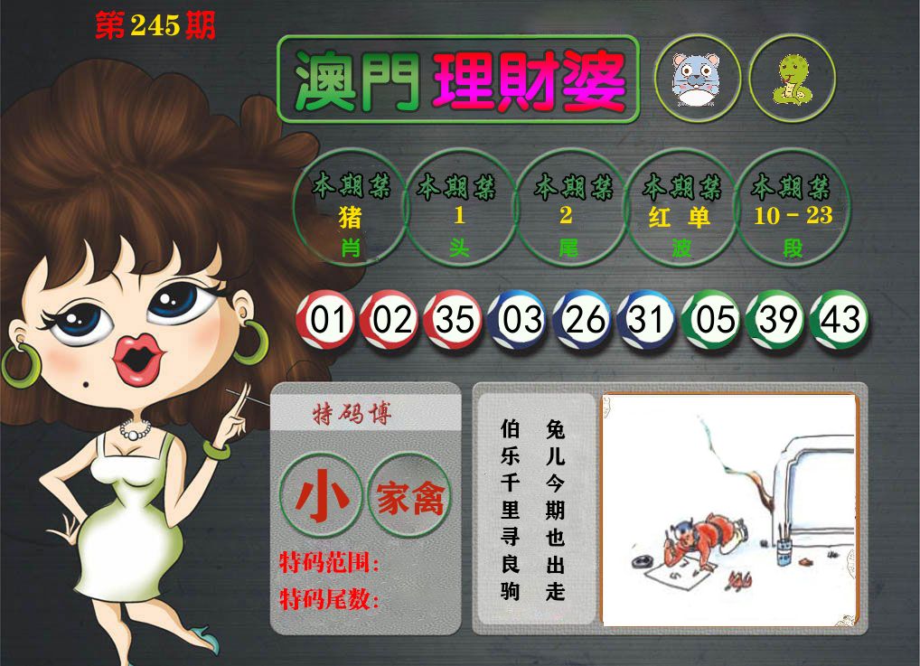 理财婆 第245期
