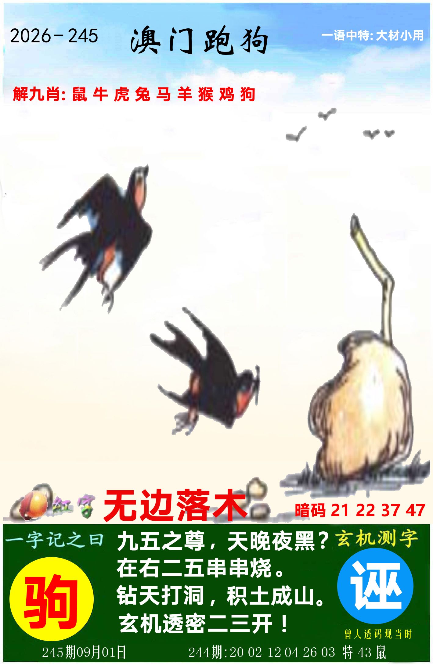 澳门跑狗图 第245期