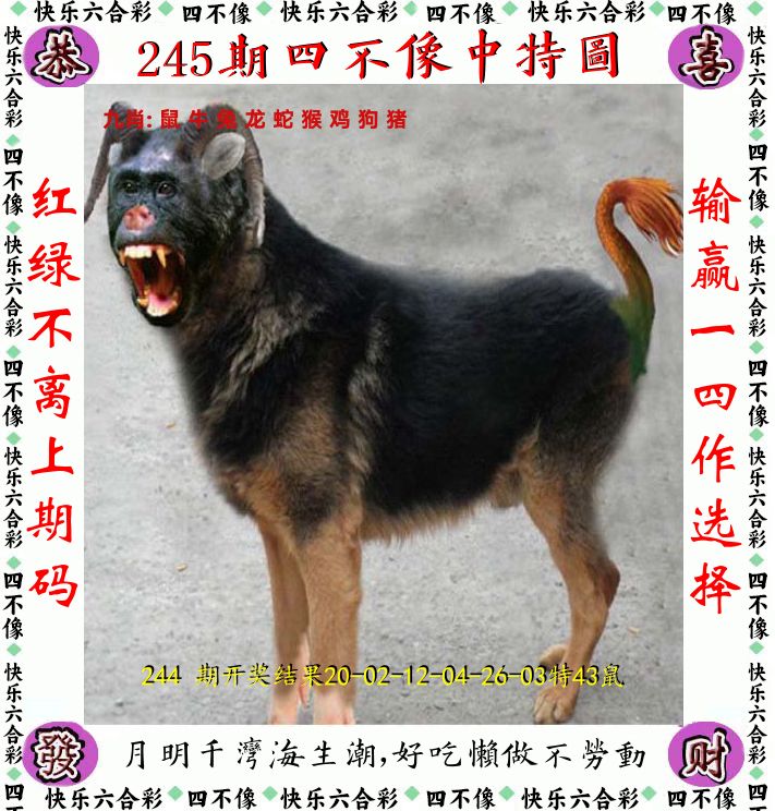 四不像 第245期