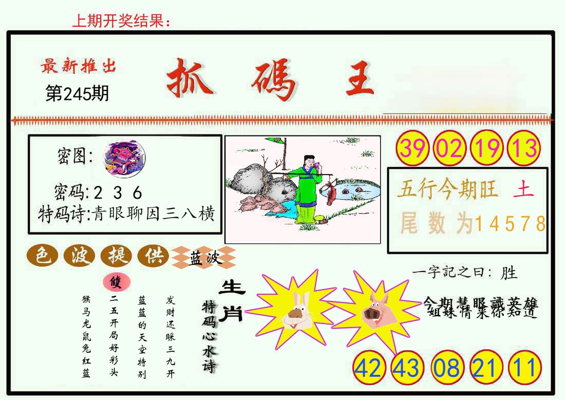 最新抓码王 第245期