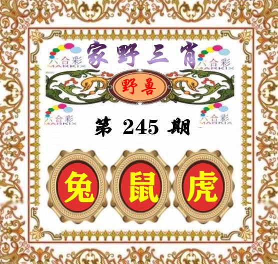 家野三肖 第245期