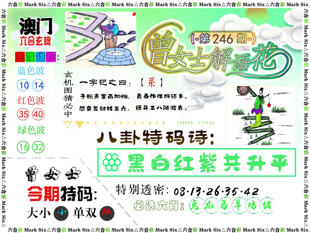 曾女士解语花 第246期