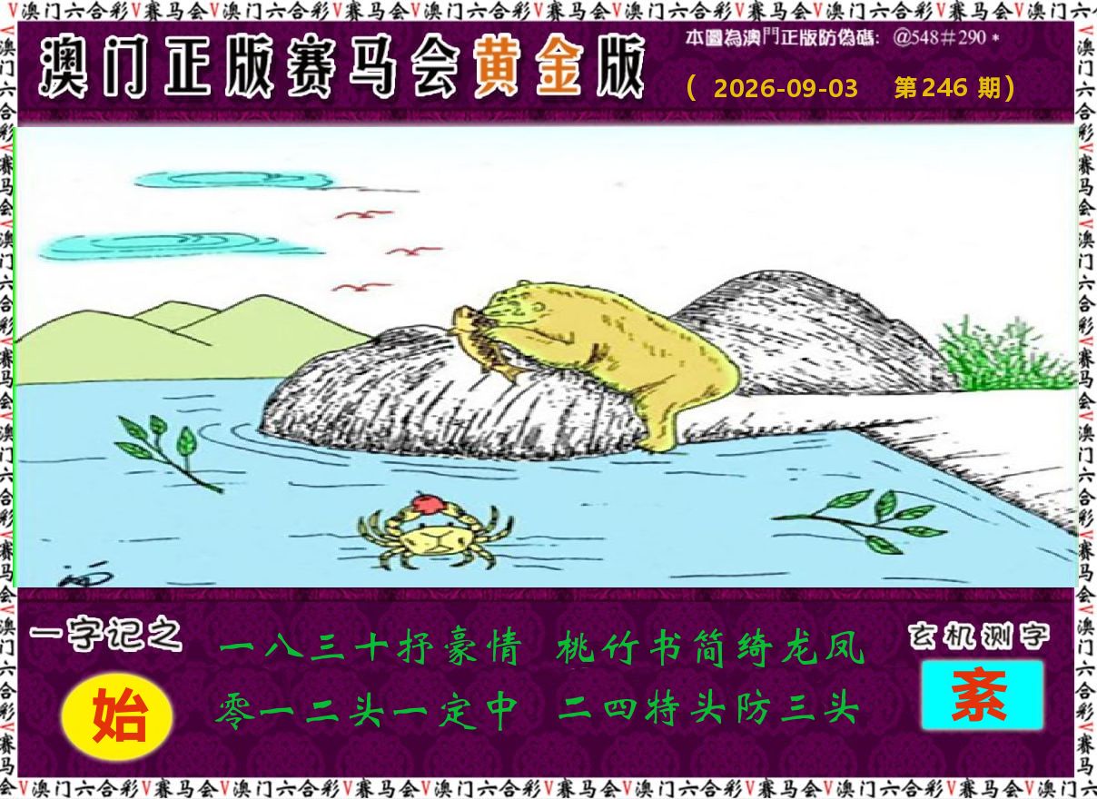 赛马会黄金版 第246期