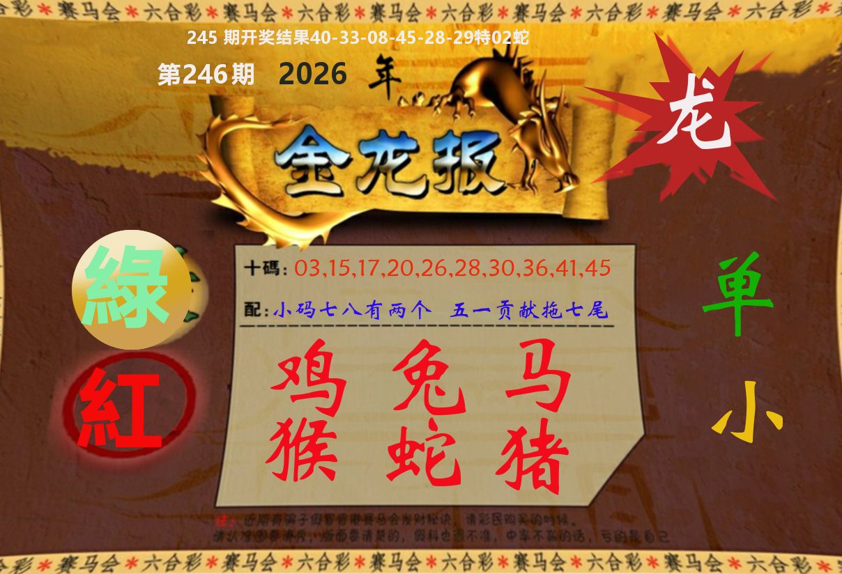 金龙报 第246期