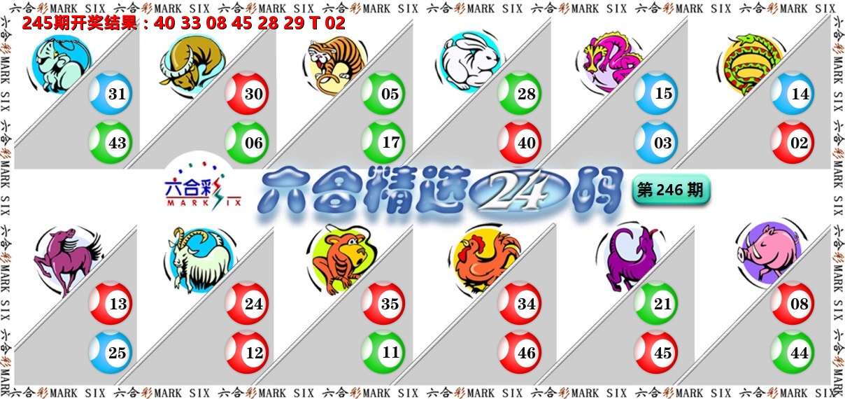 六合精选24码 第246期