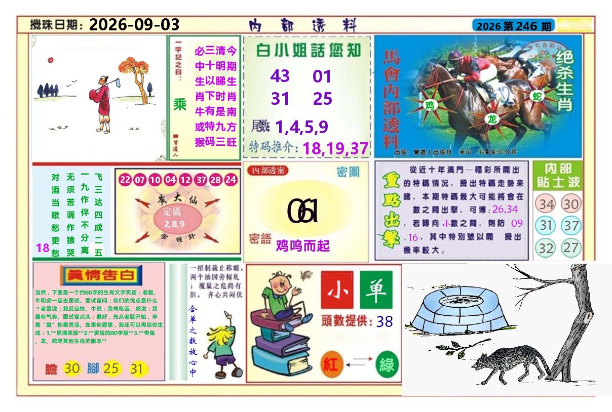 澳门内部透料A 第246期