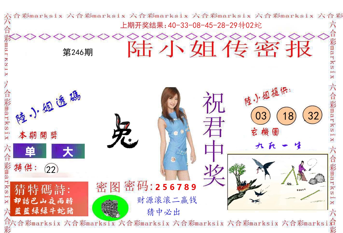 陆小姐密报 第246期