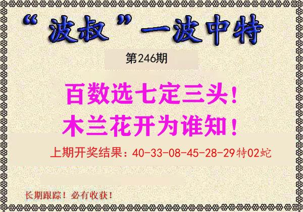 波叔中特 第246期