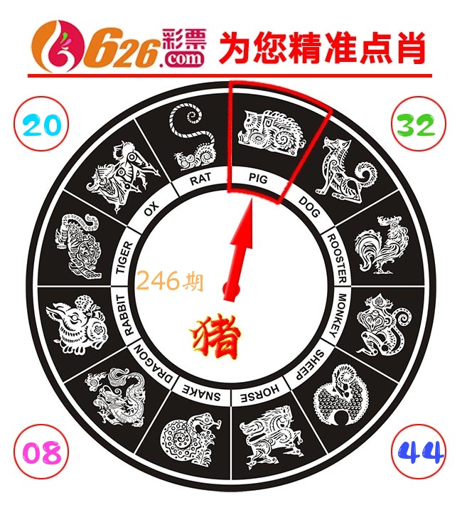 精准点肖 第246期