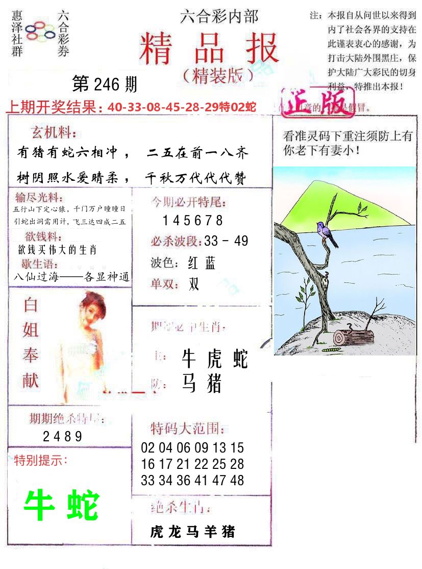 精品报 第246期
