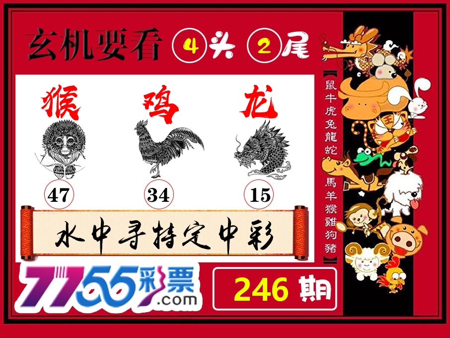 玄机要看 第246期