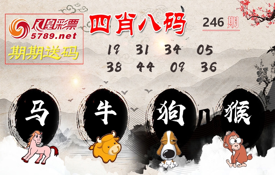 四肖八码期期送 第246期