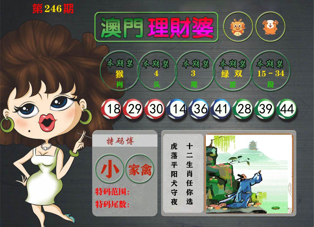 理财婆 第246期