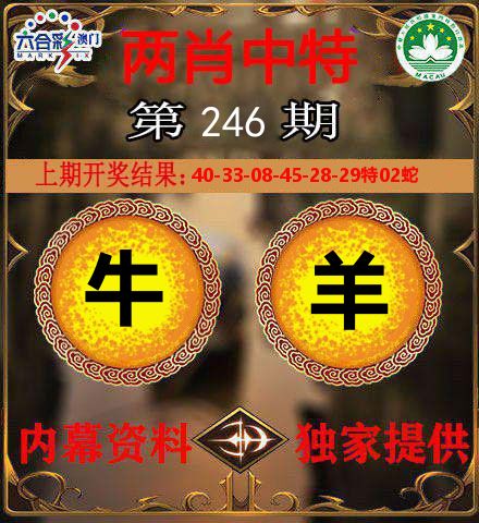 两肖中特 第246期