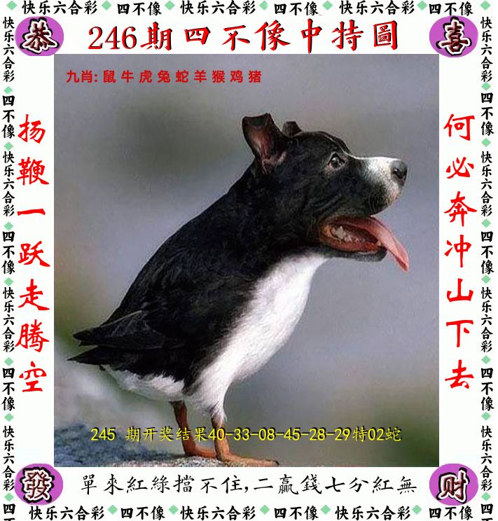 四不像 第246期