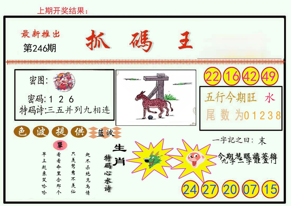 最新抓码王 第246期