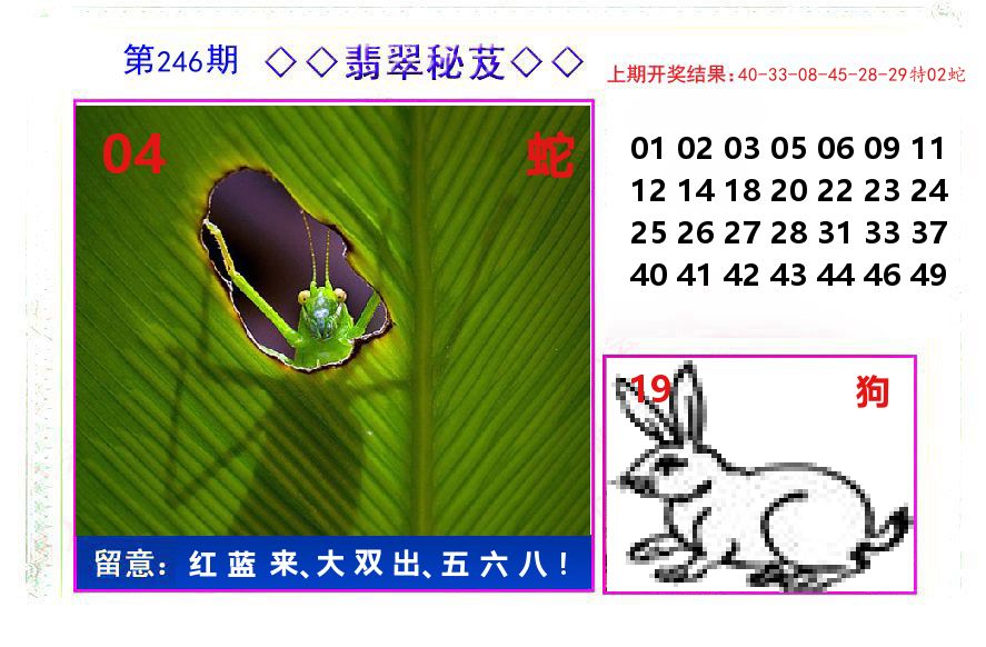翡翠秘芨 第246期