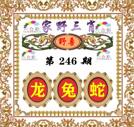 家野三肖 第246期