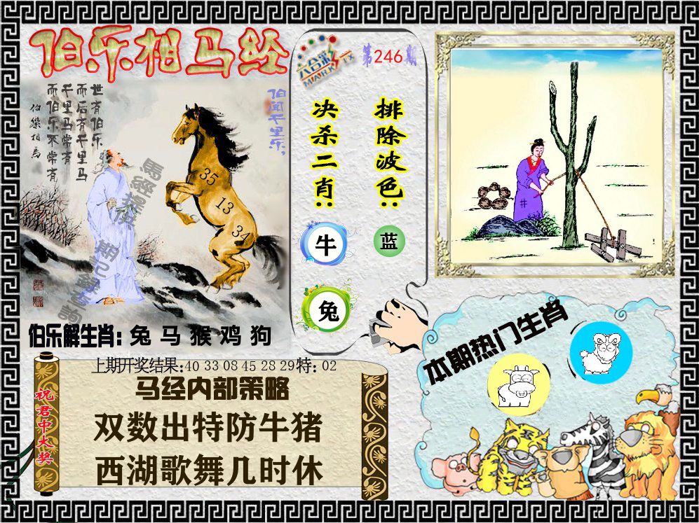 伯乐相马经 第246期