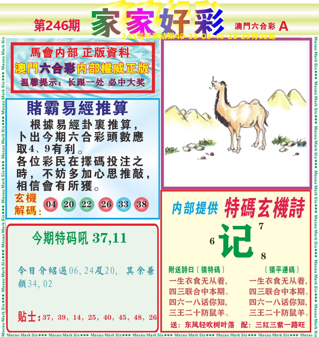 家家好彩A 第246期