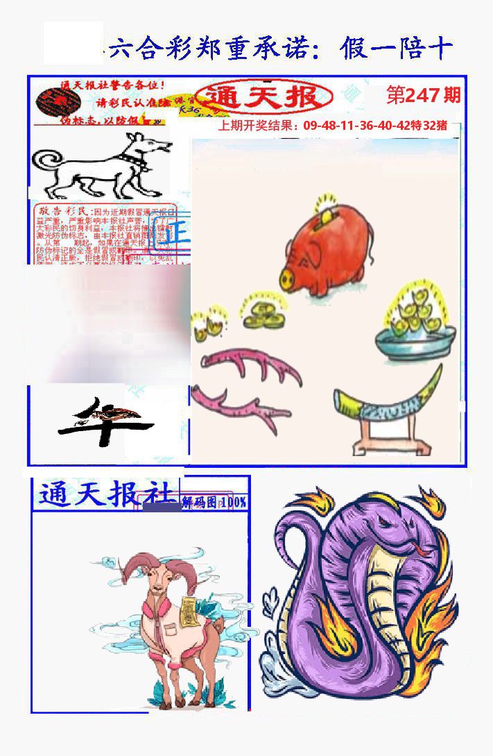 通天报 第247期