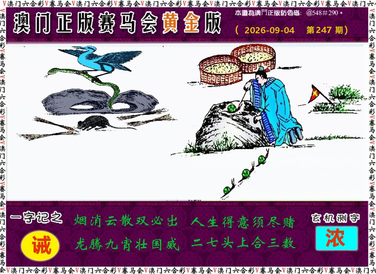 赛马会黄金版 第247期