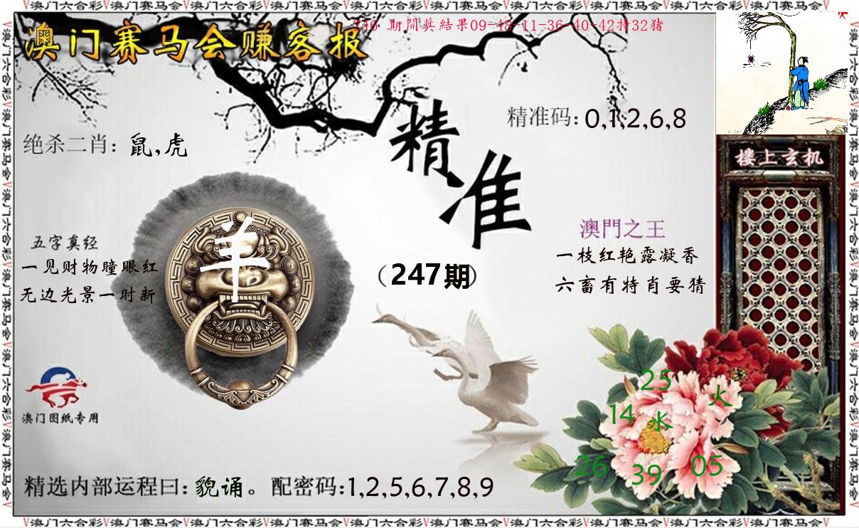赚客报 第247期