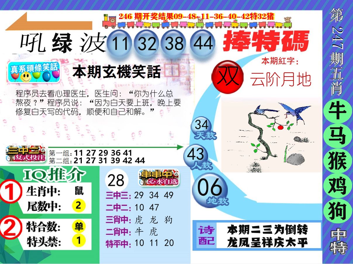 新特报 第247期