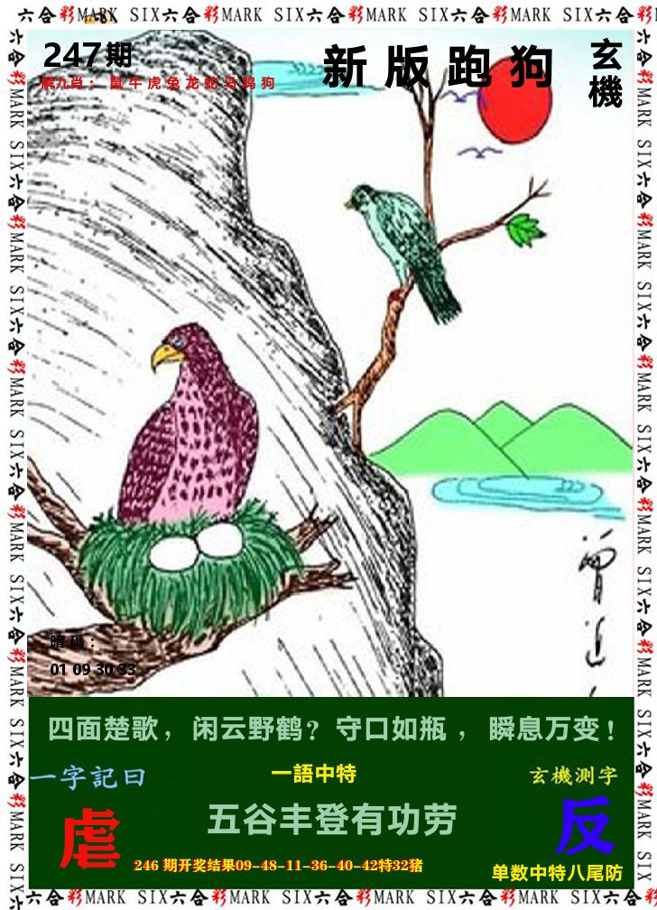悟入其图 第247期