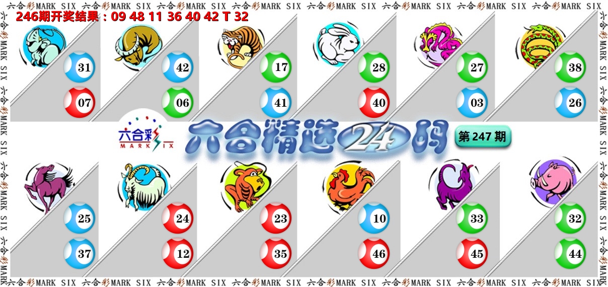 六合精选24码 第247期
