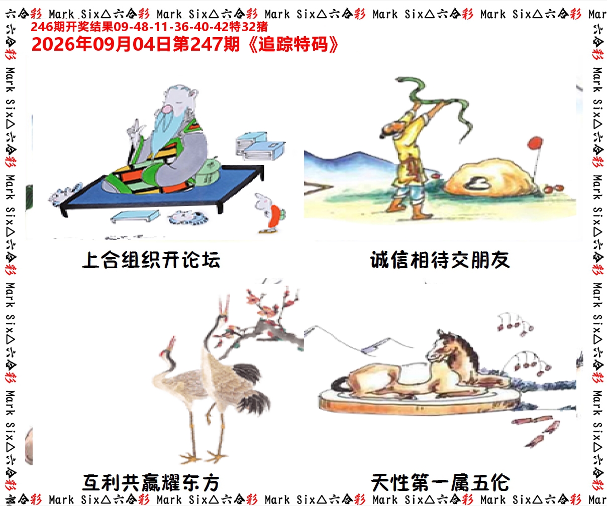 追踪特码 第247期