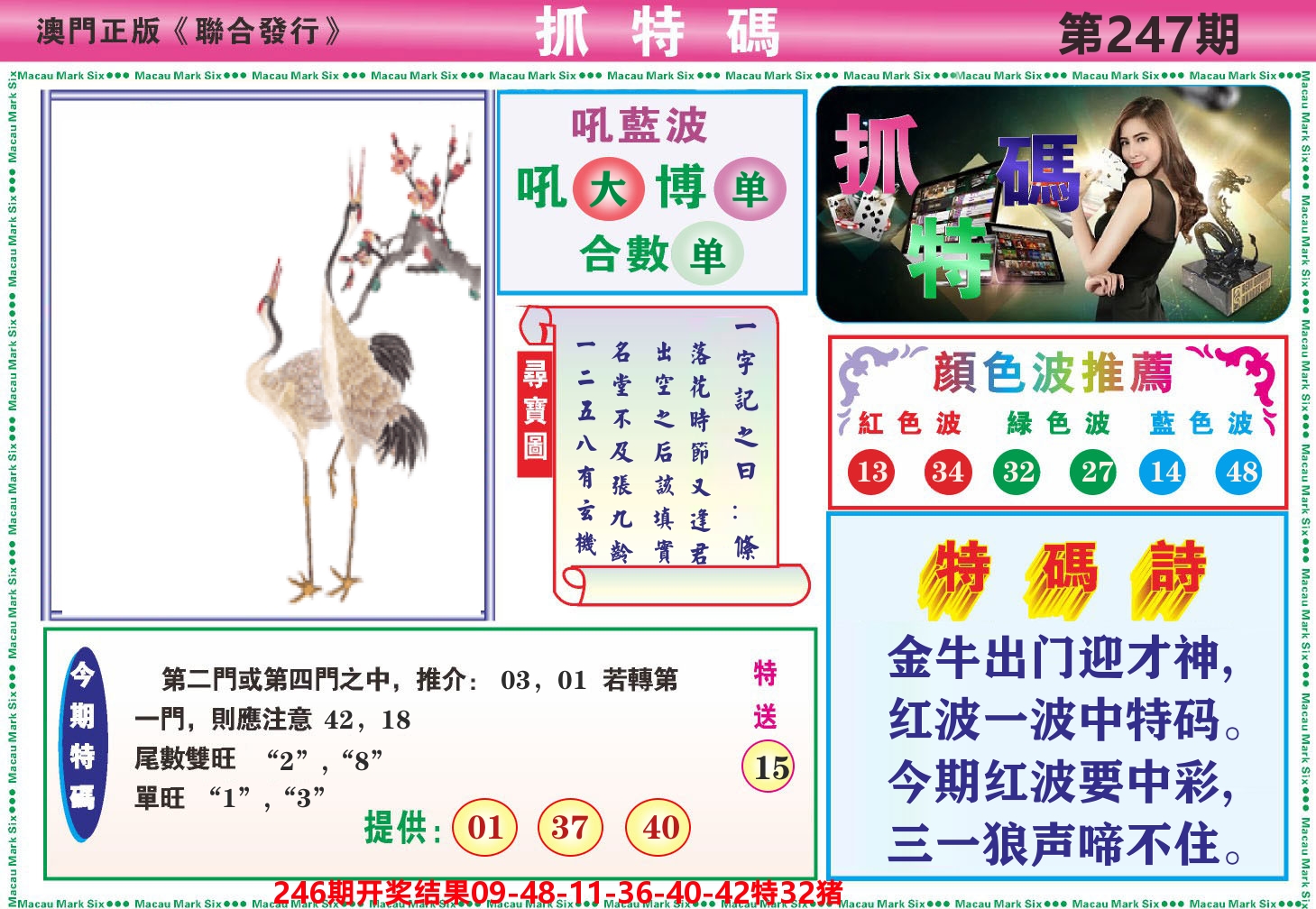 澳门抓特码A 第247期