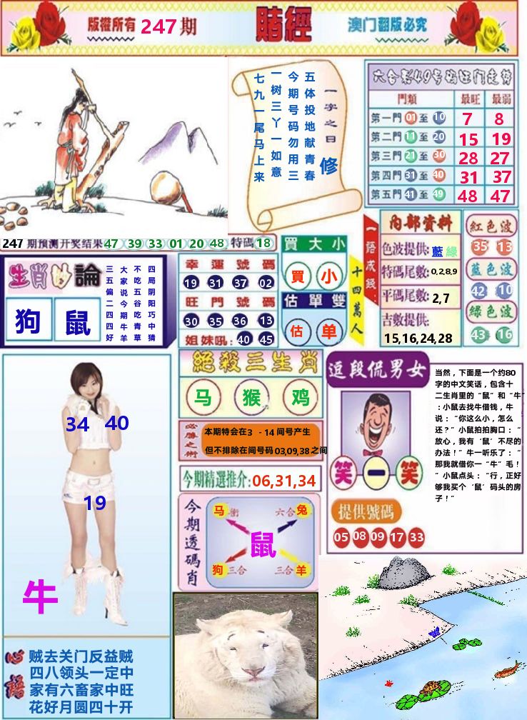 澳门赌经 第247期