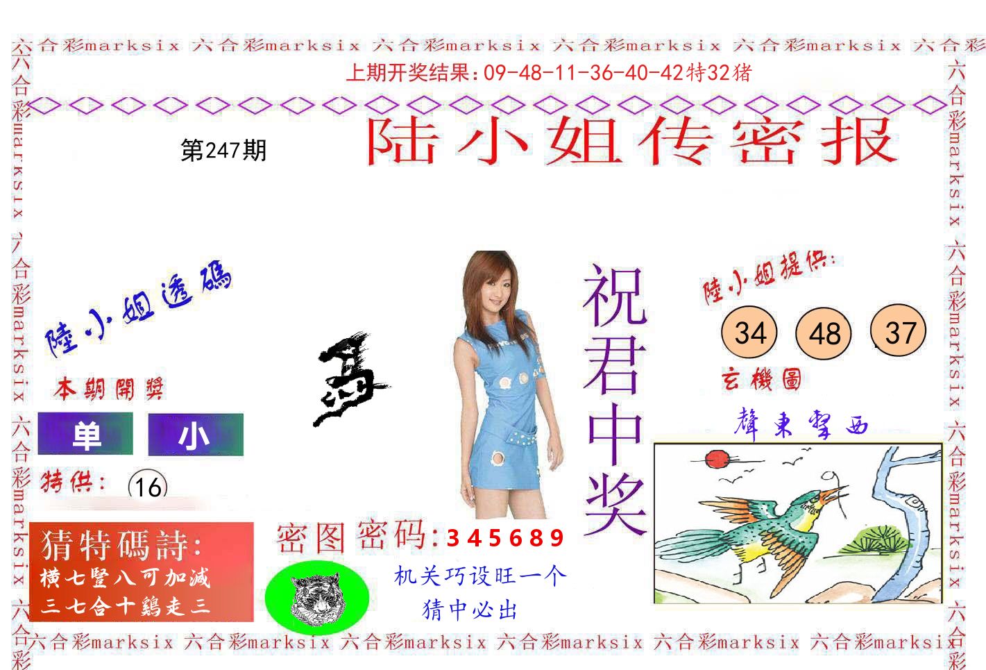 陆小姐密报 第247期