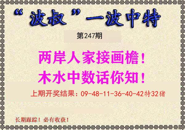 波叔中特 第247期
