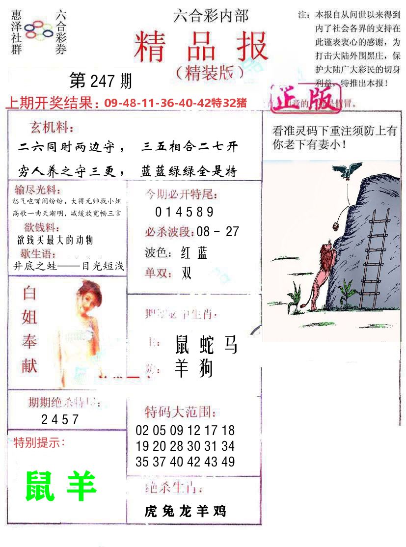 精品报 第247期