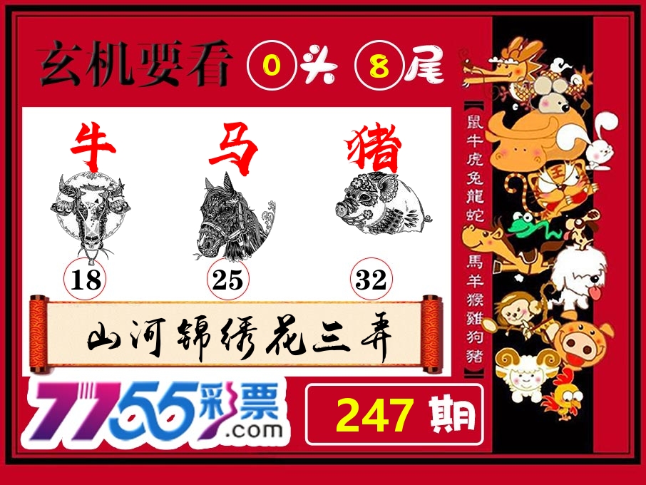 玄机要看 第247期