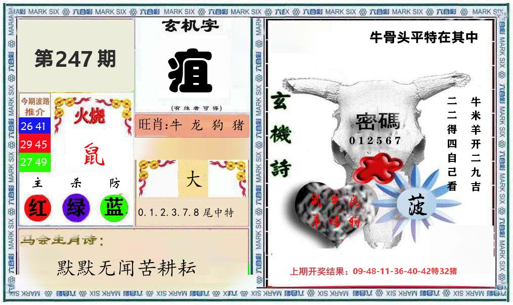 牛骨玄机 第247期