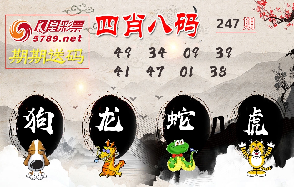 四肖八码期期送 第247期