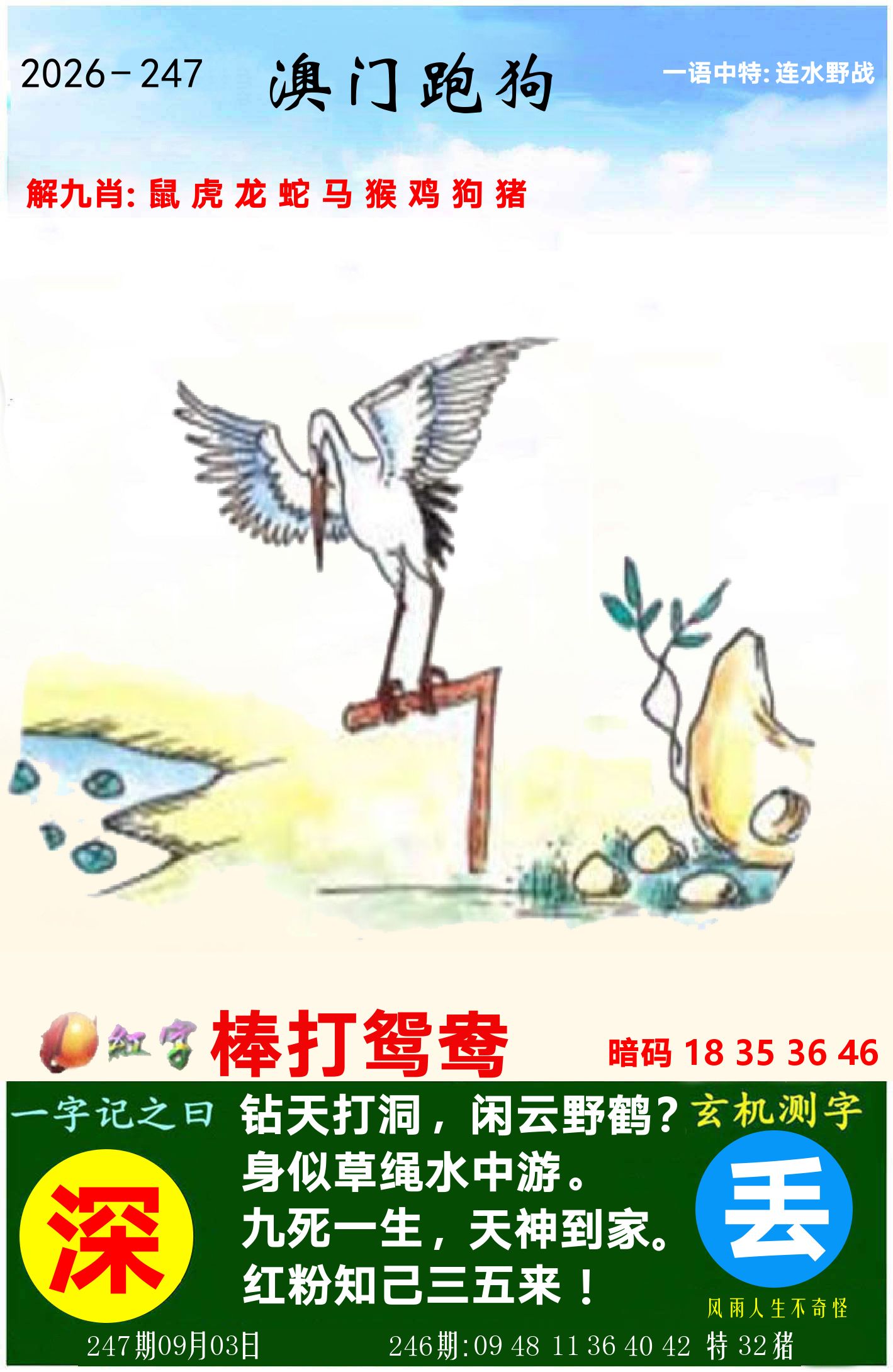 澳门跑狗图 第247期